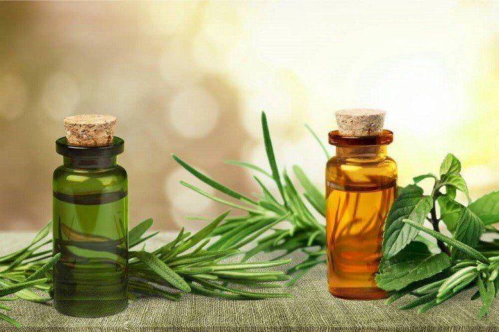 Tea tree oil- the natural antiseptic for skin – let’s know its Health benefits and usage: